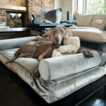 legowisko ortopedyczne dla dużego psa