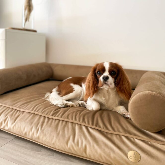 Legowisko ortopedyczne welurowe glamour dla średniego psa M