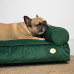 legowisko-z-pianka-memory