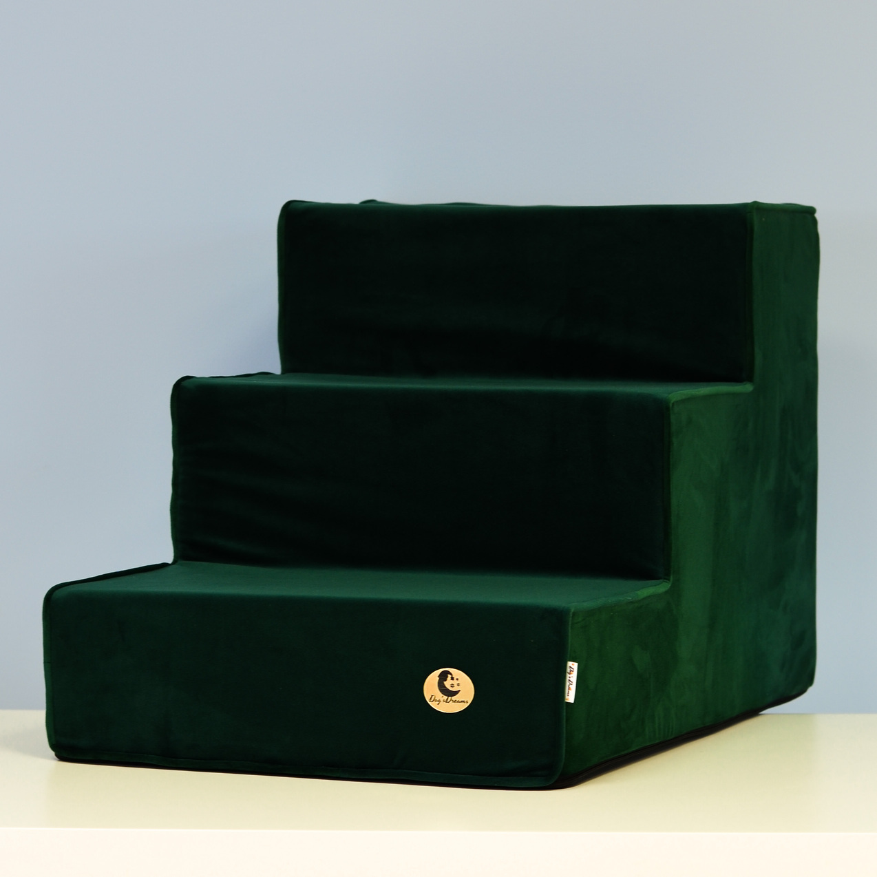 schody-dla-psa-butelkowa-zielen