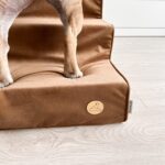 schody schodki dla psa beżowe, rampa