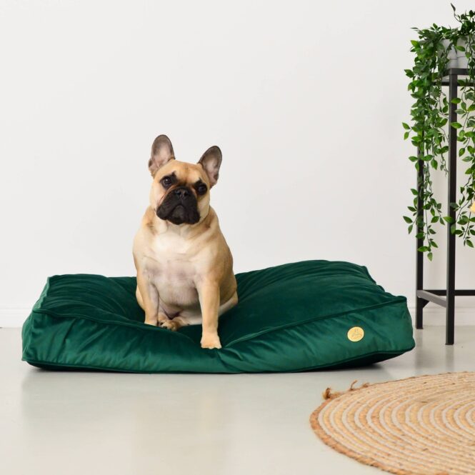 Materac ortopedyczny welurowy dla psa M