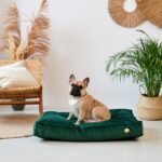 materac ortopedyczny dla psa