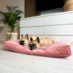 materac-ortopedyczny-dla-psa