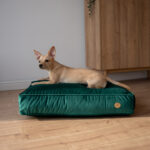 materac-memory-dla-psa