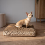 materac-ortopedyczny-dla-psa