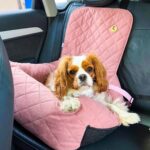 fotelik dla psa samochodowy