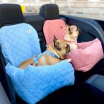 fotelik samochodowy dla psa, transporter dla psa do samochodu