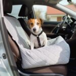 fotelik samochodowy transporter dla psa