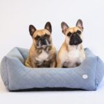 duze-legowisko-dwa-psy