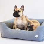 szare-legowisko-welurowe