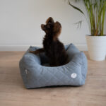 legowisko-dla-ciuhuahua