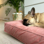 materac-memory-dla-psa