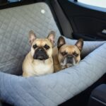 fotelik-samochodowy-dla-duzego-psa