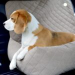 fotelik-samochodowy-XL