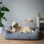 KANAPA-ORTOPEDYCZNA-DLA-DUZEGO-PSA-1