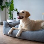 LEGOWISKO-MEMORY-FOAM-XXL