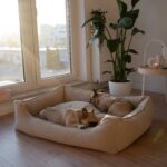 legowisko-ortopedyczne-dla-psa