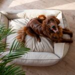 LEGOWISKO-ORTOPEDYCZNE-XXL (2)