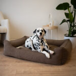 poslanie-ortopedyczne-dla-psa