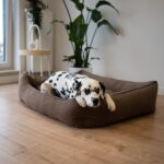 sofa-dla-psa-ortopedyczna-xxl