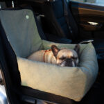 fotelik-samochodowy-dla-psa-transporter-dla-buldoga