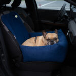 transporter dla psa granat