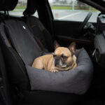 transporter fotelik dla psa