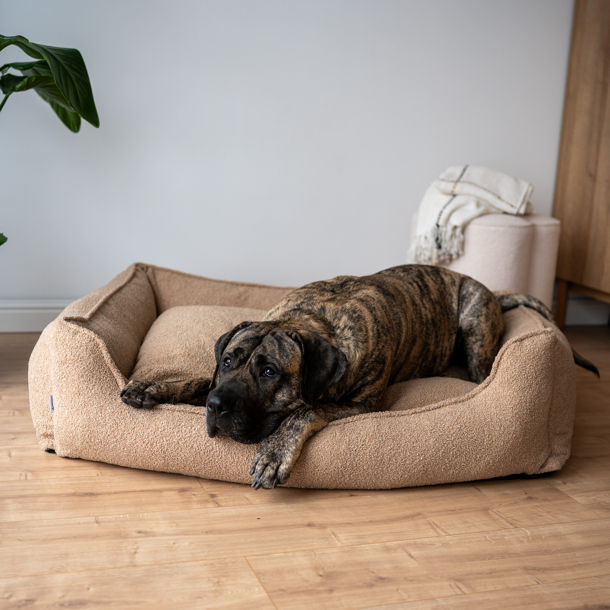 legowisko-xxl-ortopedyczne