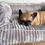 legowisko ortopedyczne memory dla psa