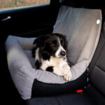 fotelik xl dla dużego psa