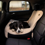 fotelik-samochodowy-xl-dla-duzego-psa