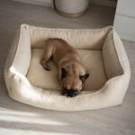 kanapa-teddy-dla-psa