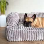 legowisko-memory-foam-dla-psa