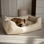 poslanie dla psa-sredni-pies