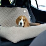 transporter-dla-duzego-psa-xl