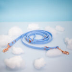 biothane-smycz-dla-psa