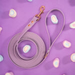 linka-dla-psa-biothane