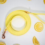 linka-dla-psa-biothane-5-metrow