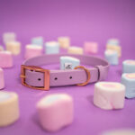 obroza-biothane-lawendowa