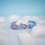 obroza-biothane-sprzaczka