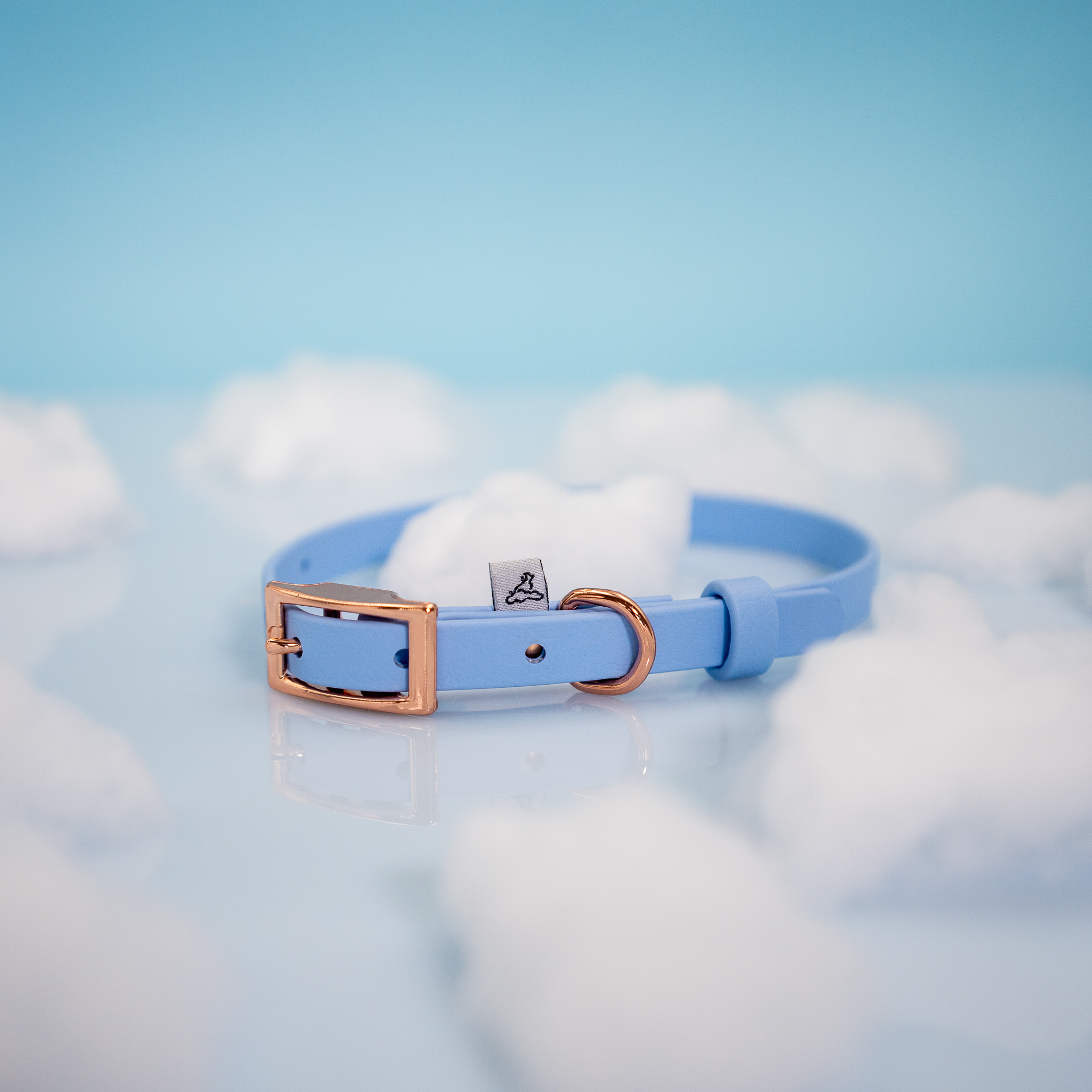 obroza-biothane-sprzaczka