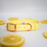 obroza-biothane-zolta-dla-psa