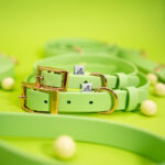 obroza-dla-psa-wodoodporna-biothane