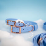 obroza-niebieska-biothane-dla-psa