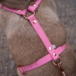 ROZOWE-SZELKI-DLA-PSA-BIOTHANE