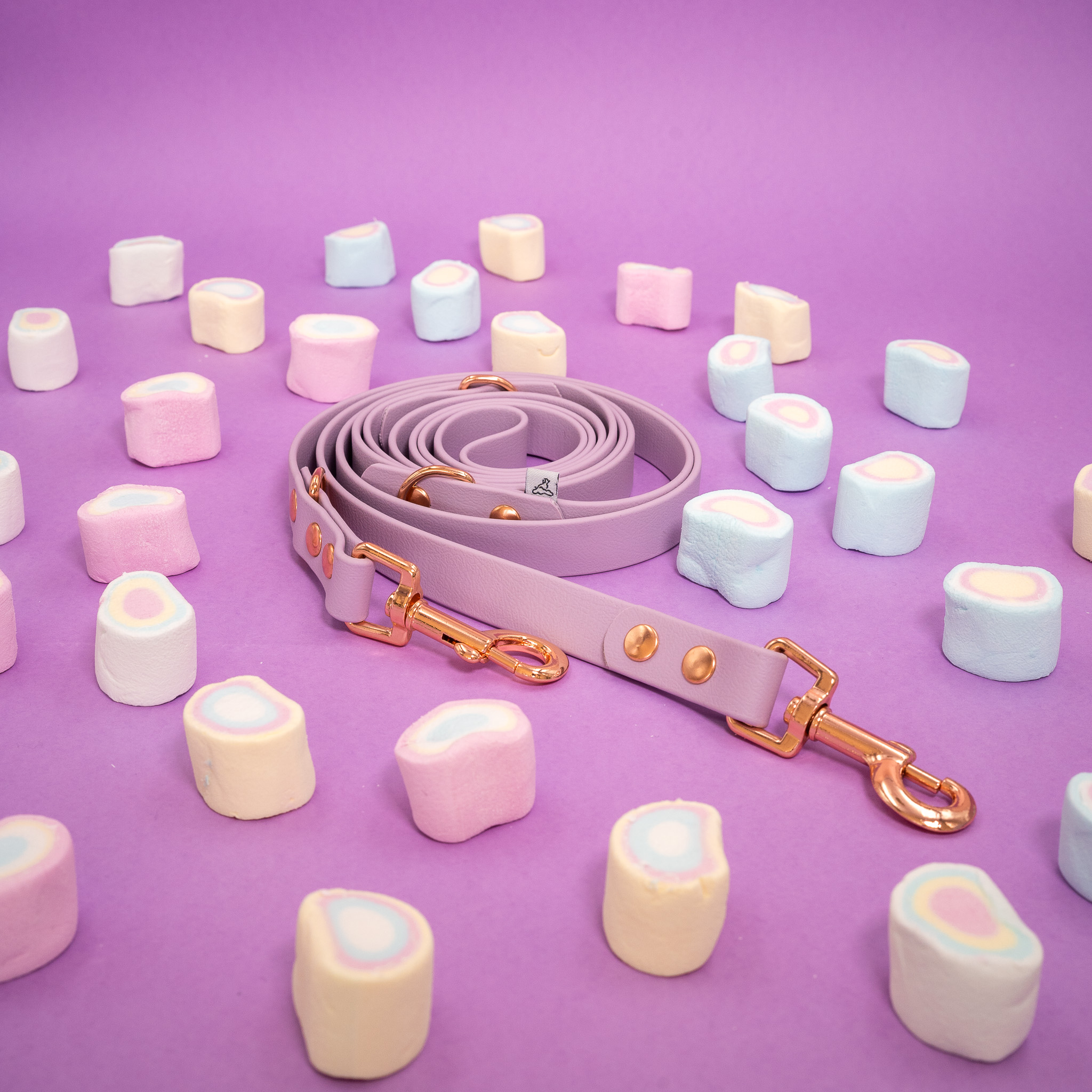 smycz-biothane-lawendowa