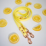 smycz-biothane-przepinana