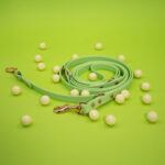 smycz-dla-psa-biothane