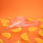 smycz-dla-psa-z-biothane